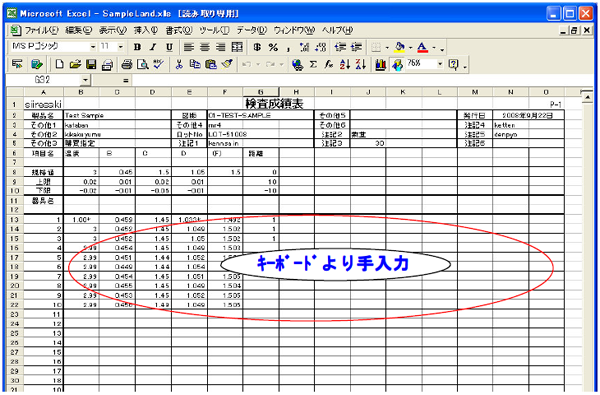 Excel のワークシートにデータを直接入力